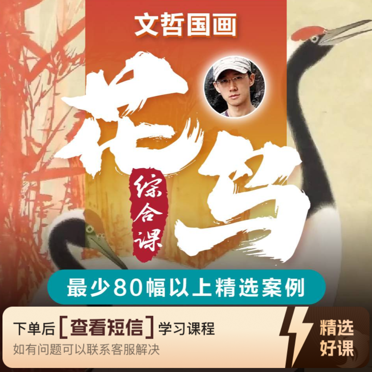 文哲国画《花鸟综合课》写意+泼彩+工笔+没骨（留意短信解锁课程）