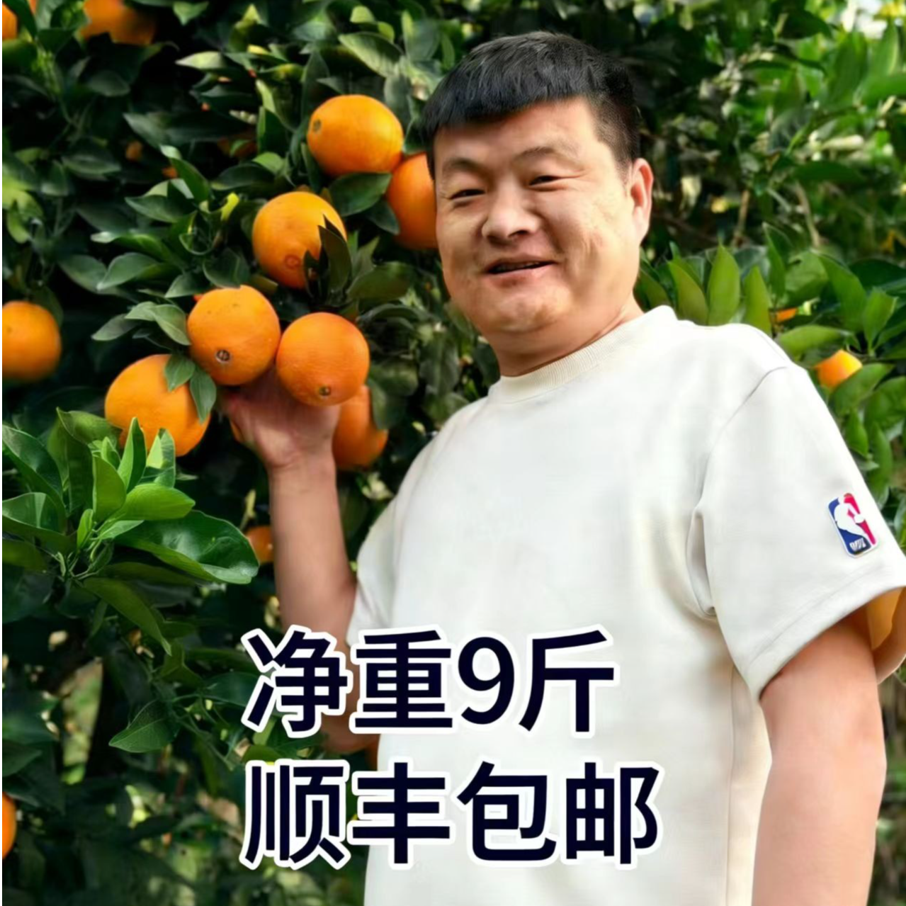 【顺丰包邮】正宗赣南脐橙新鲜产地直发香甜多汁应季水果9斤