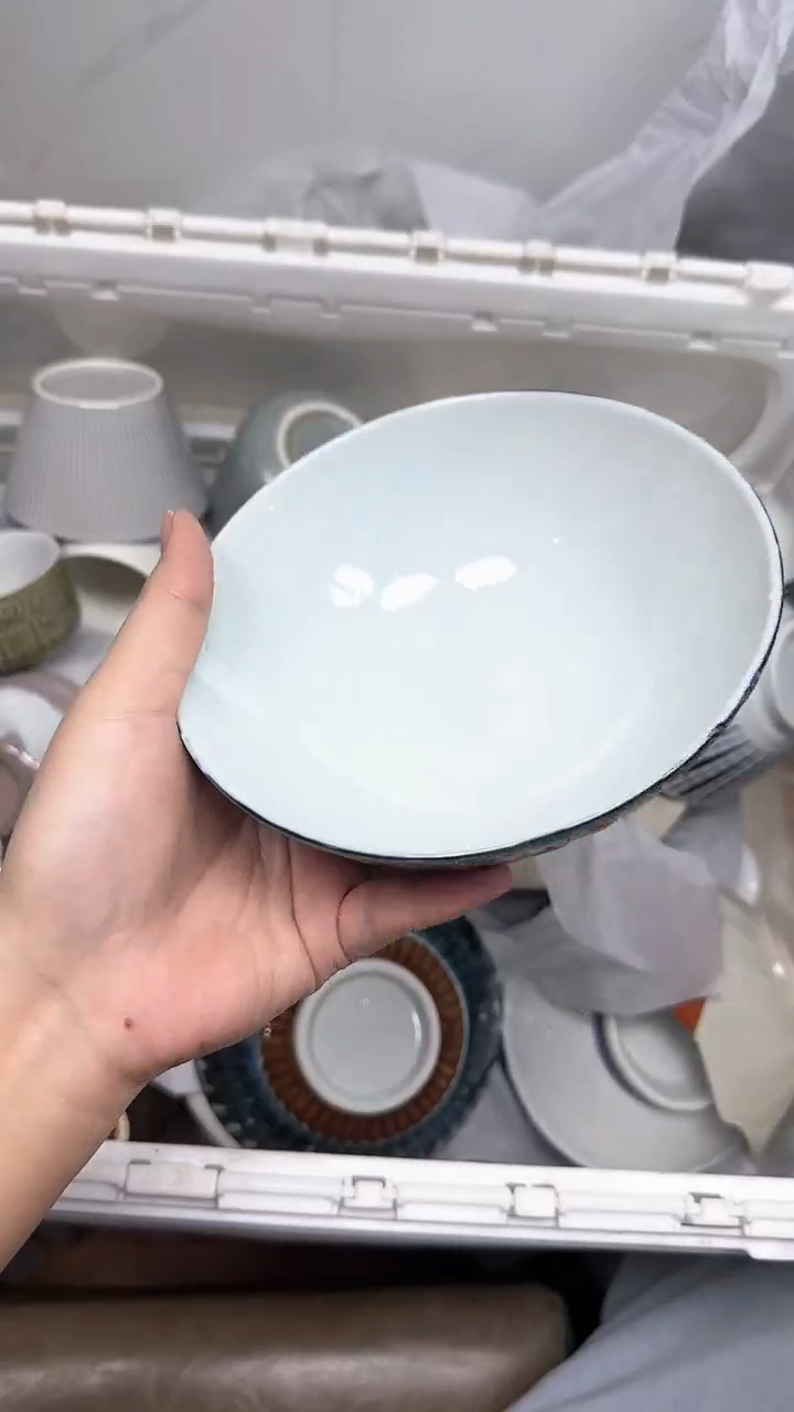 【闪购商品】236回流瓷器默认微瑕，18.8包邮