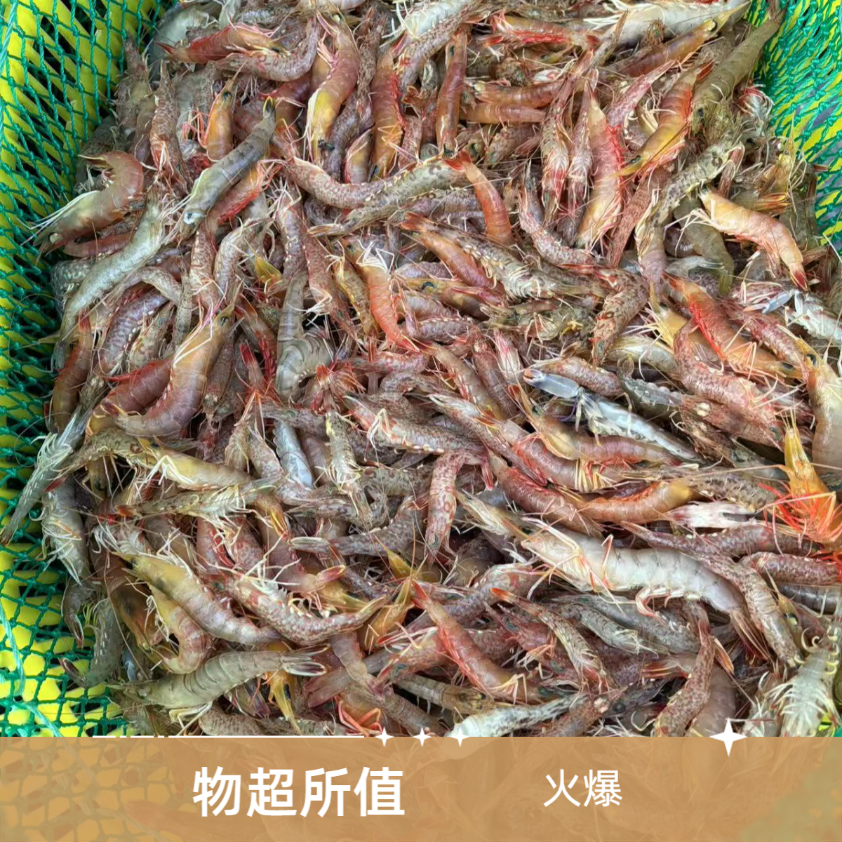 【小杂虾/樱花虾/各种小海虾】特小虾切记 不退货