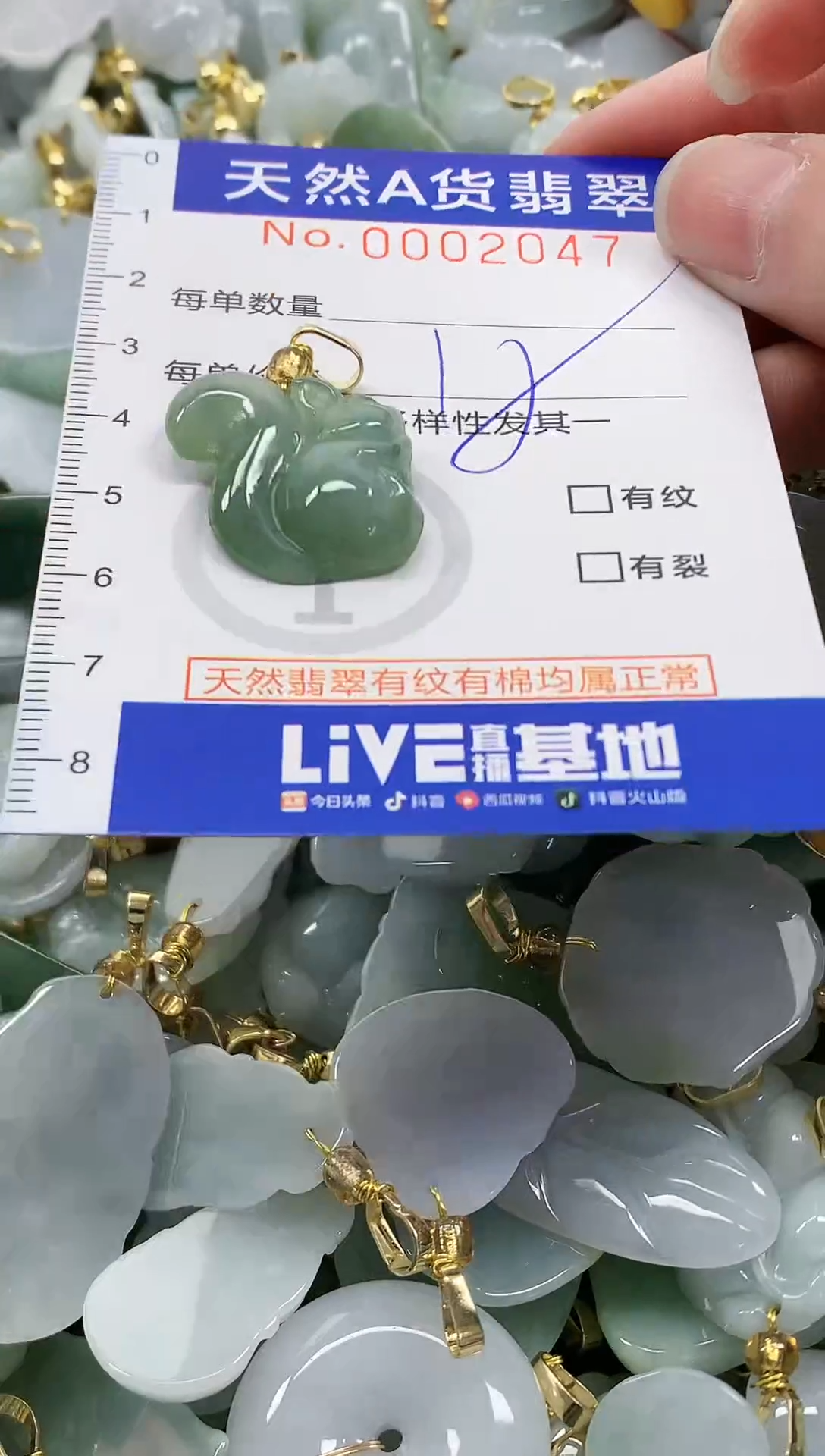 颈饰未镶嵌翡翠 纯天然a货翡翠