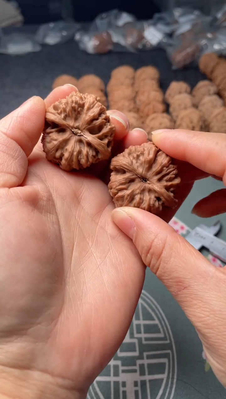 把件文玩核桃w111  野牛 38尺