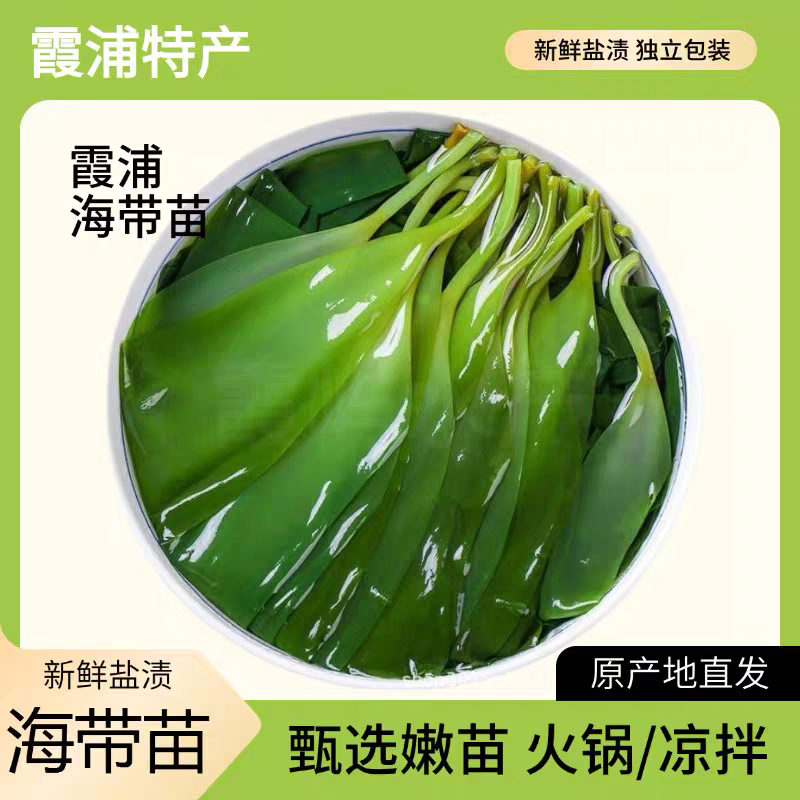 海带苗嫩苗盐渍火锅专用食材商用新鲜海带芽干货批发福建霞浦特产
