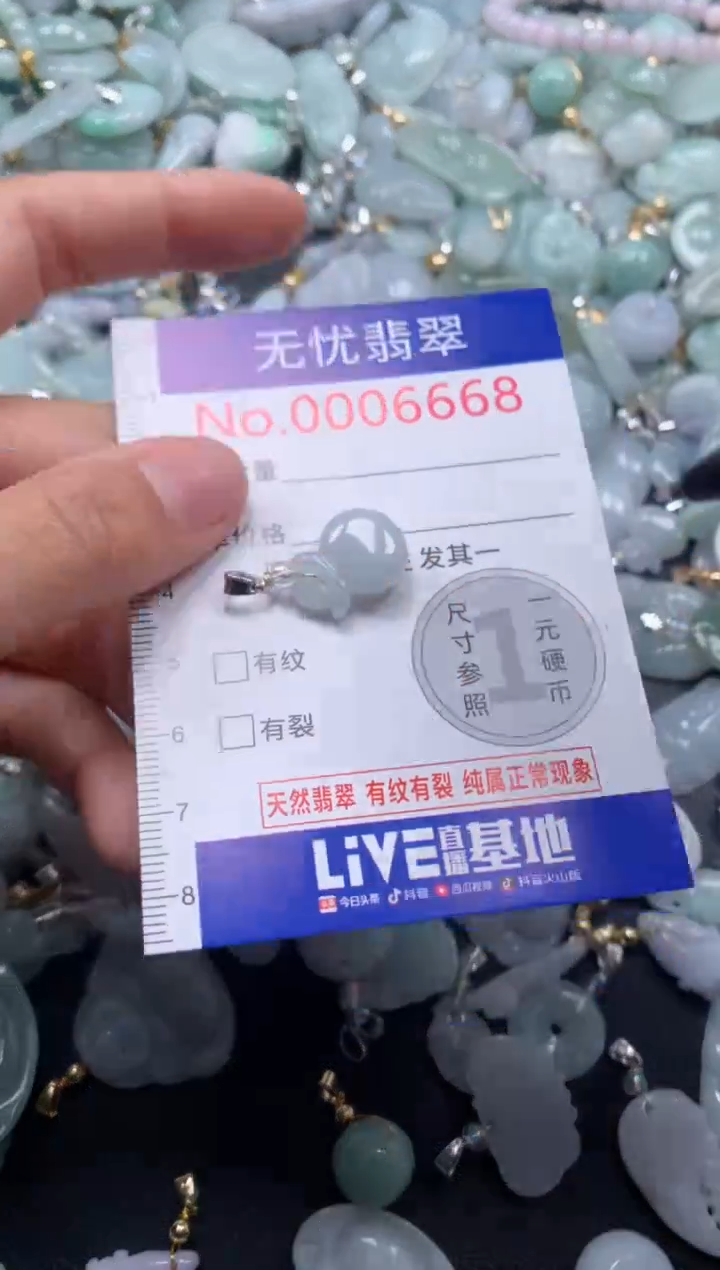 颈饰未镶嵌翡翠6668