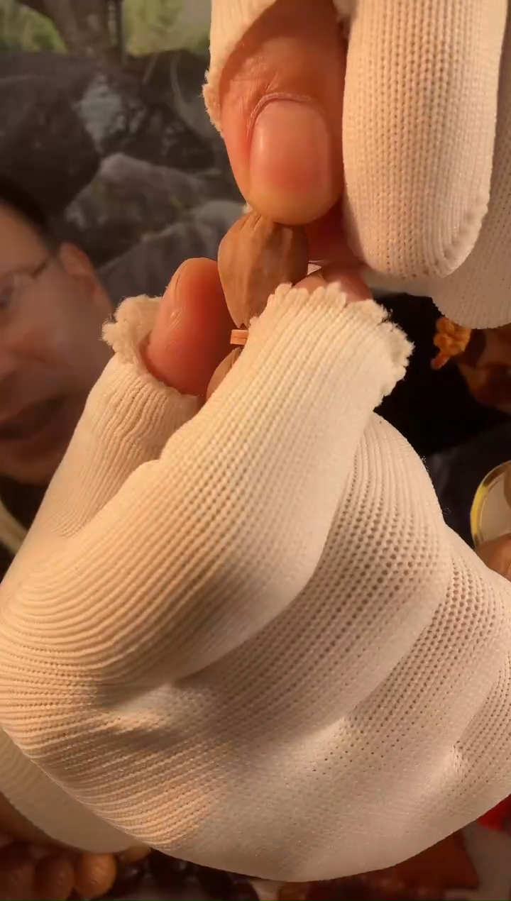 【闪购商品】橄榄核手串1421三面佛梅林铁核原生态素串1888