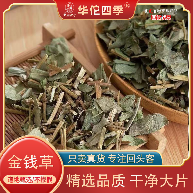 华佗四季金钱草 广西大叶金钱草 优选精致泡茶煮水正品保证无杂质