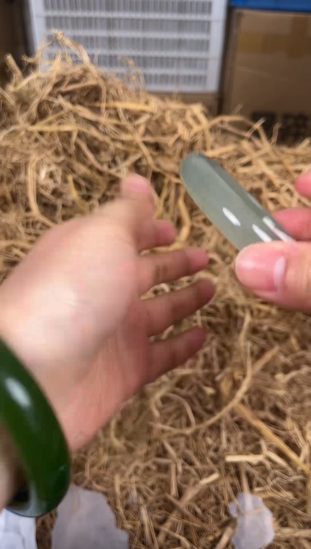 未镶嵌手镯石英质玉编码D674