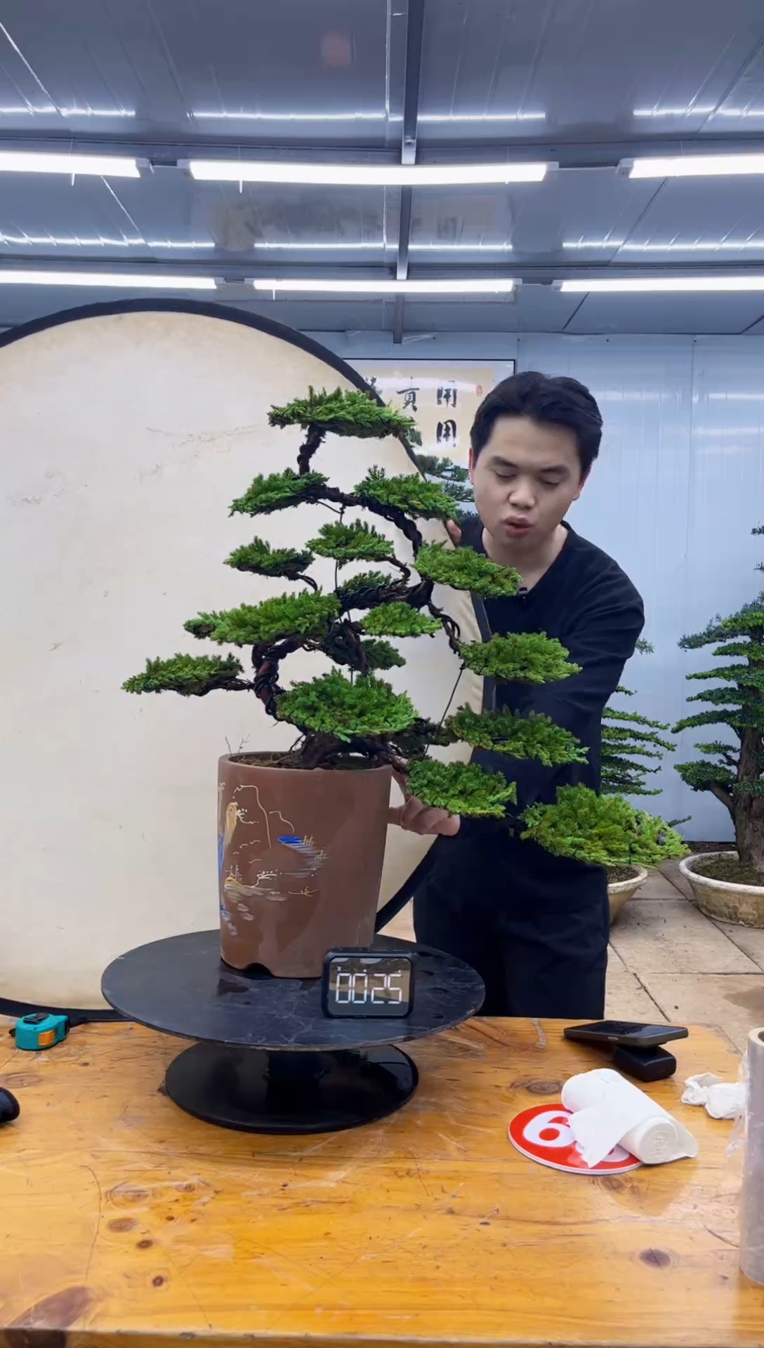 无花朵00000000000000000000000