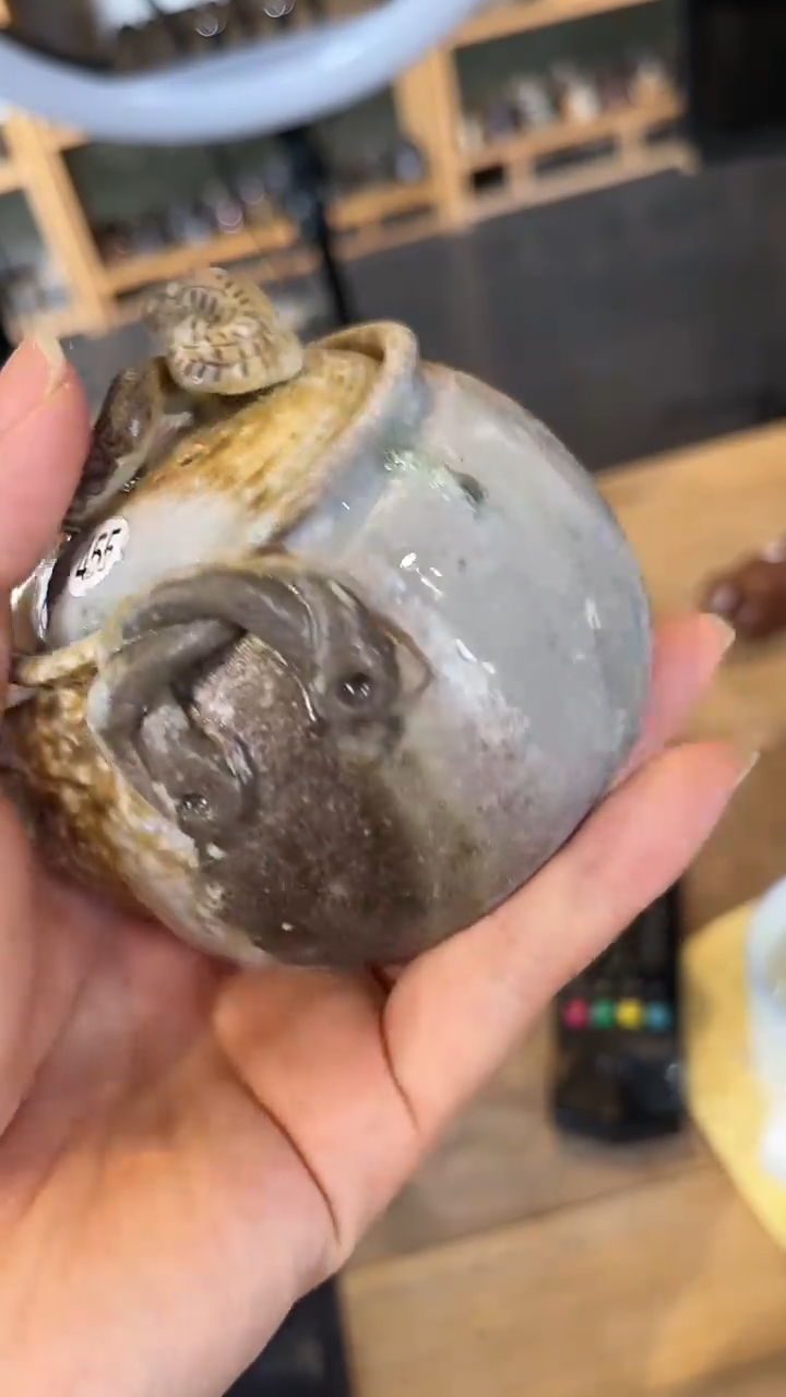 【闪购商品】壶455号容量140-150ML有落渣