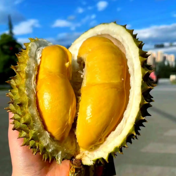 【黄山歙县】金腰空运新鲜榴莲1000g纯禸榴莲同城配核大越南金腰越南