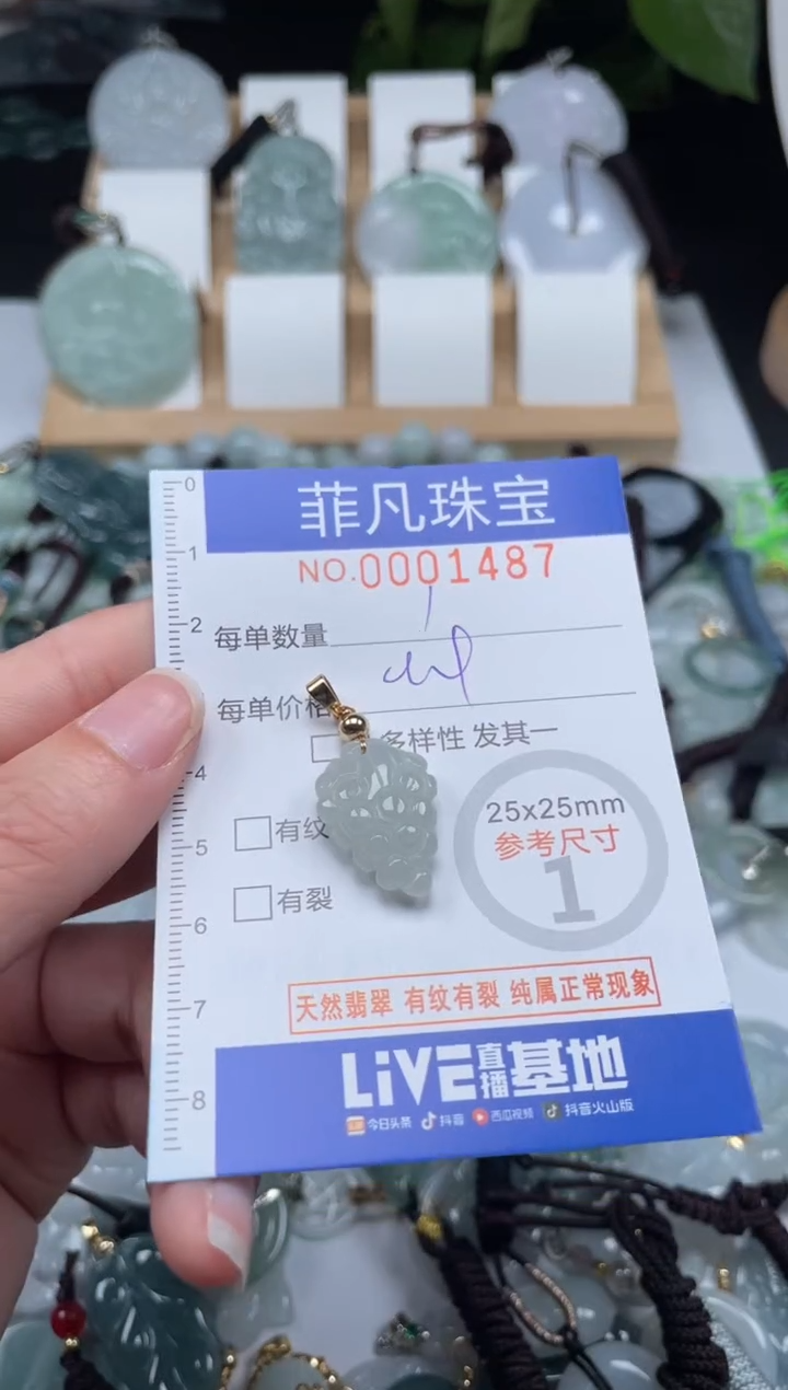 【闪购商品】翡翠未镶嵌颈饰00..1487