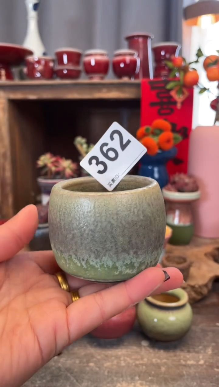 【闪购商品】摆件362知木小芳花盆