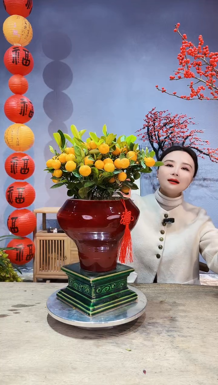 【闪购商品】盆景年桔