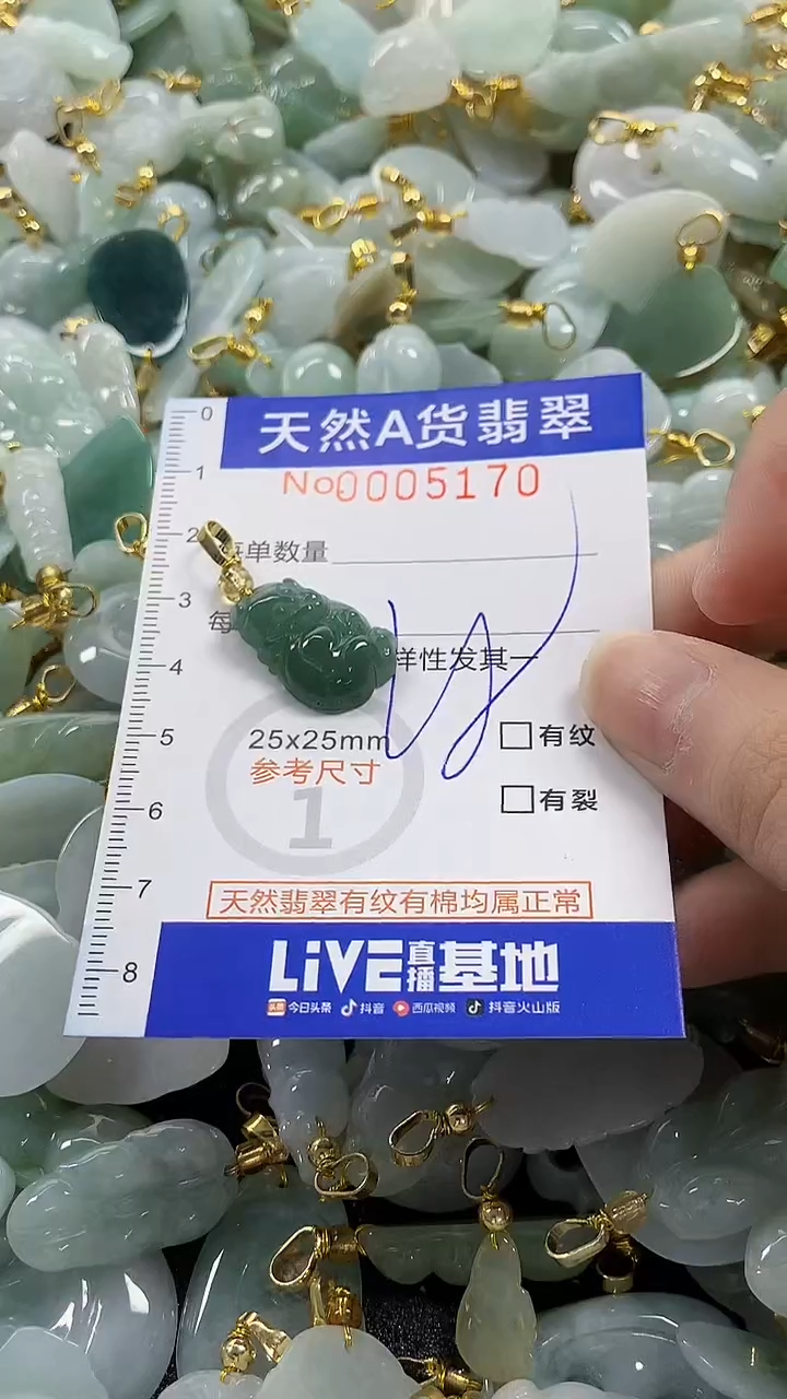 颈饰未镶嵌翡翠纯天然货翡翠