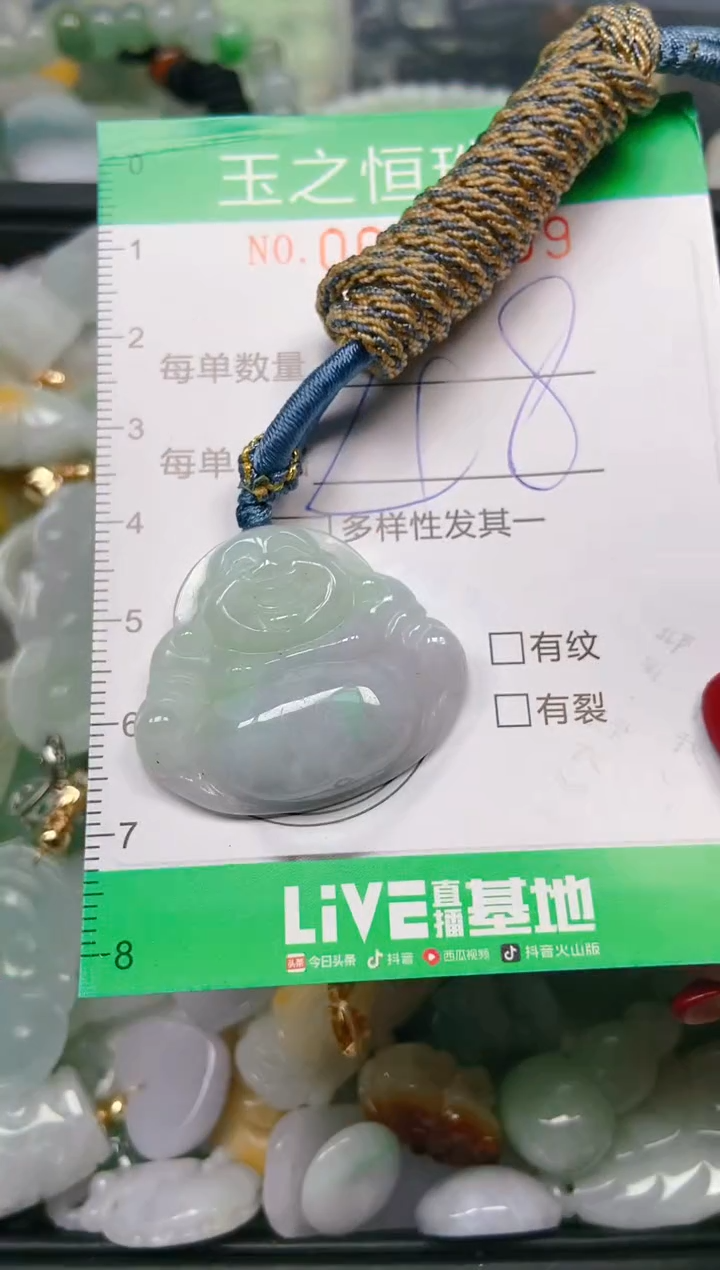 【闪购商品】翡翠颈饰未镶嵌闪购0041999