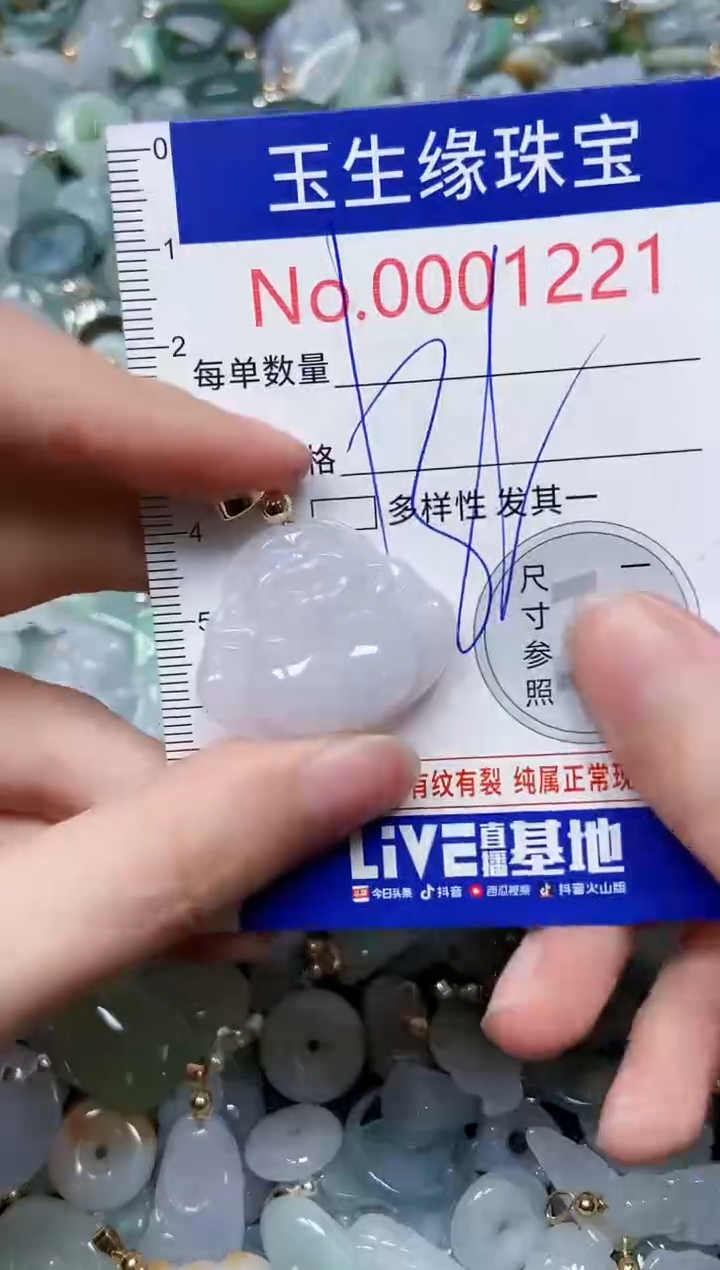 【闪购商品】翡翠颈饰未镶嵌闪购00001221