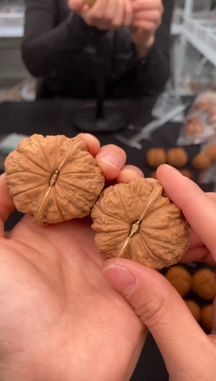 【闪购商品】文玩核桃把件南瓜墩43-t558