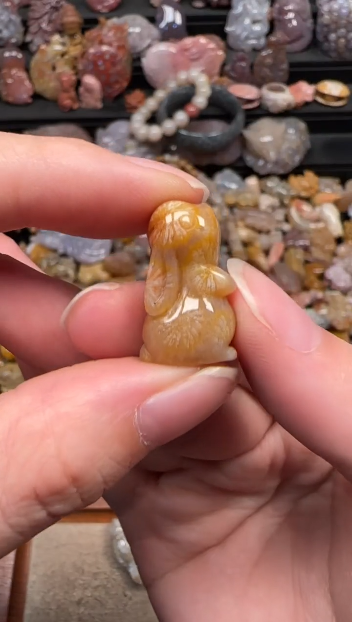 颈饰未镶嵌硅化珊瑚（珊瑚玉）224