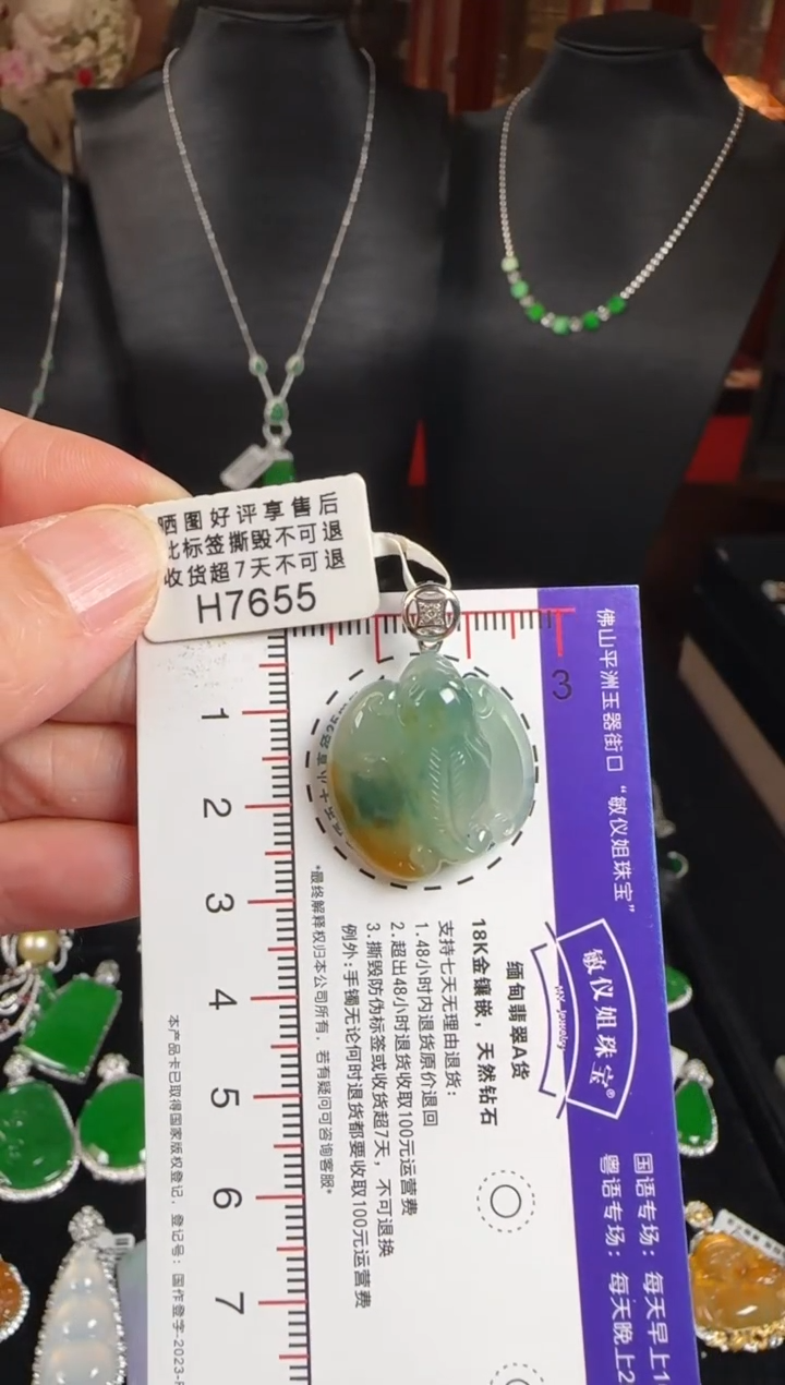 颈饰未镶嵌翡翠H7655福到