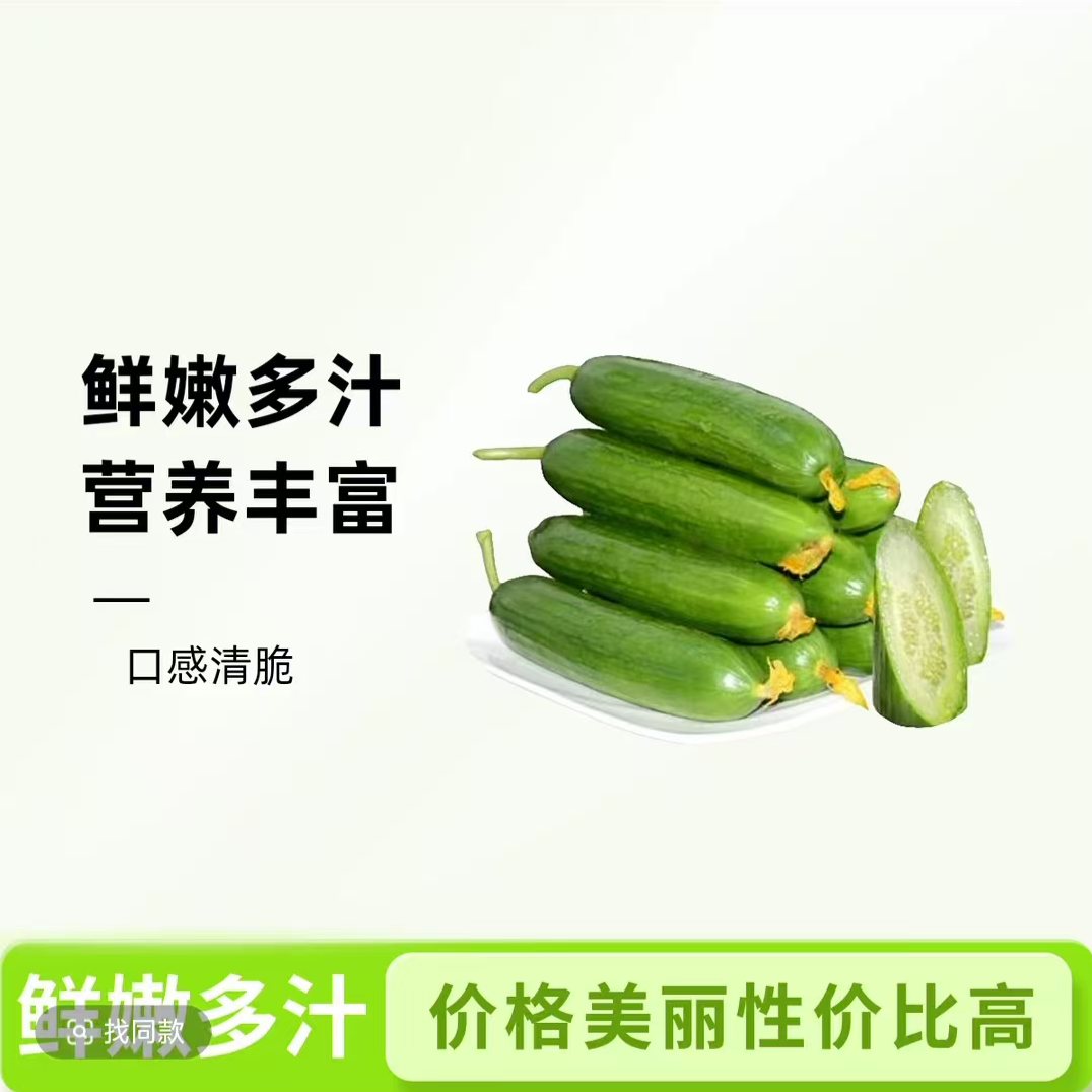 密云奶油黄瓜奶油黄瓜