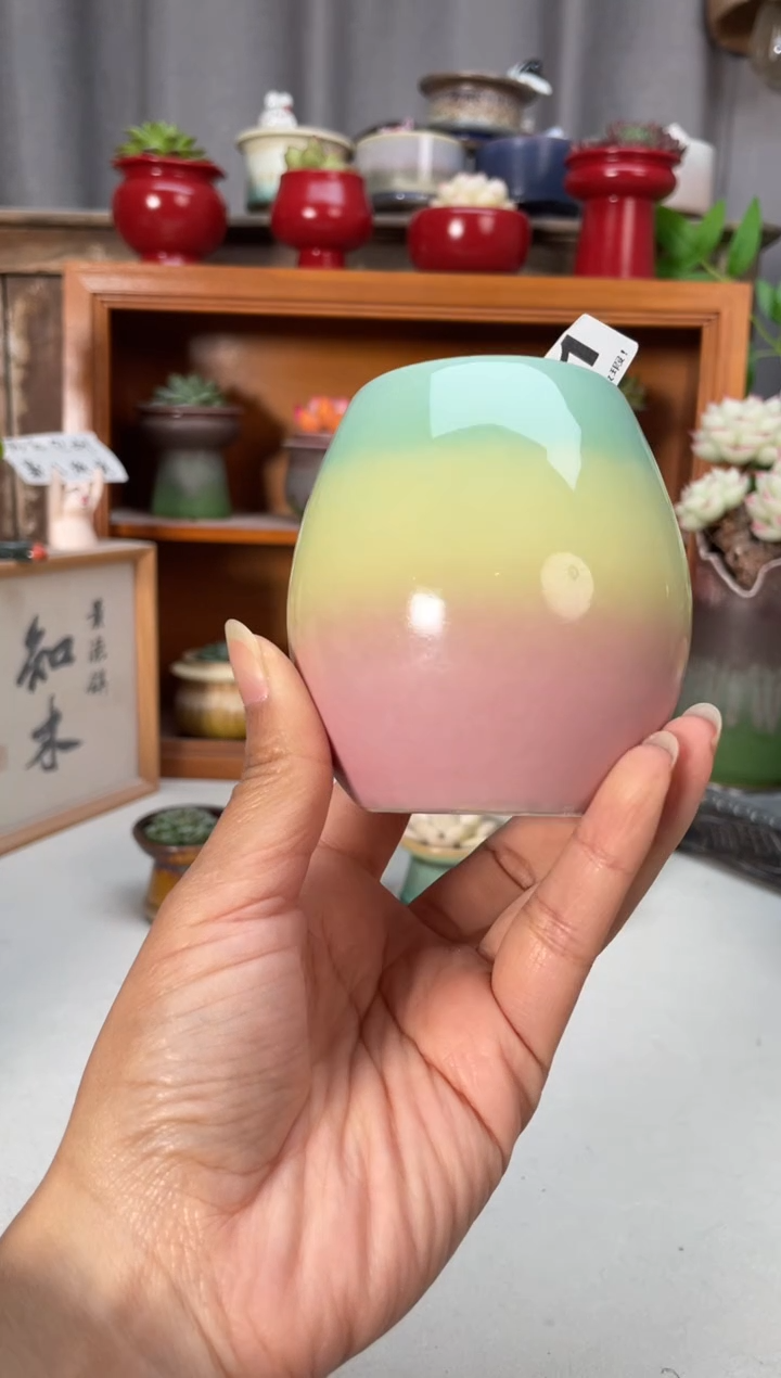 瓷片381知木小芳花盆