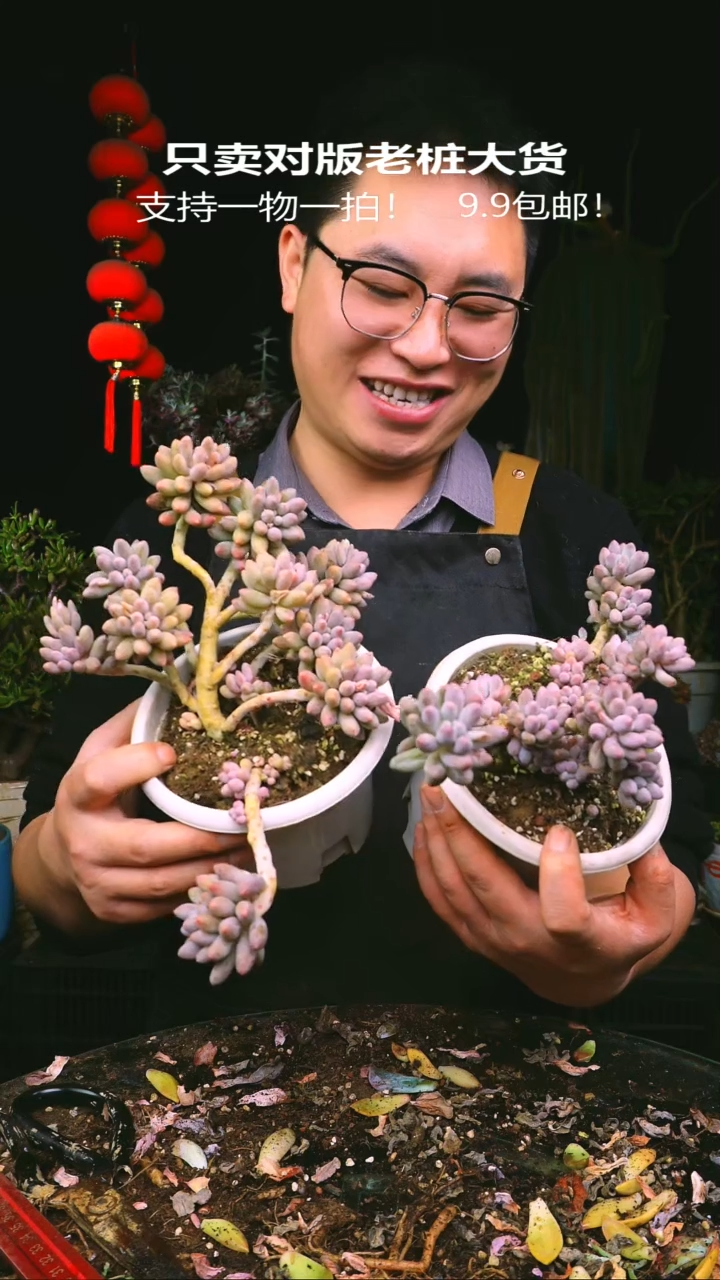 小婴儿手指9.9一盆量拍