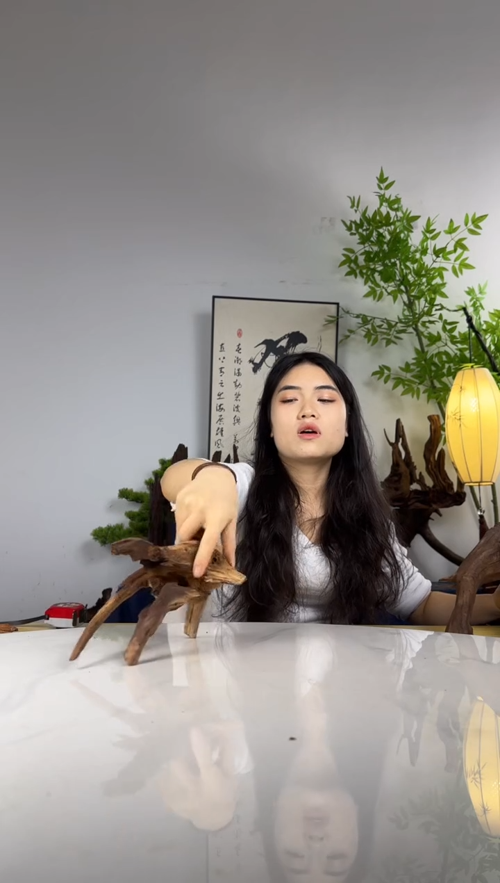 X****i拍沉木定向链接编号55