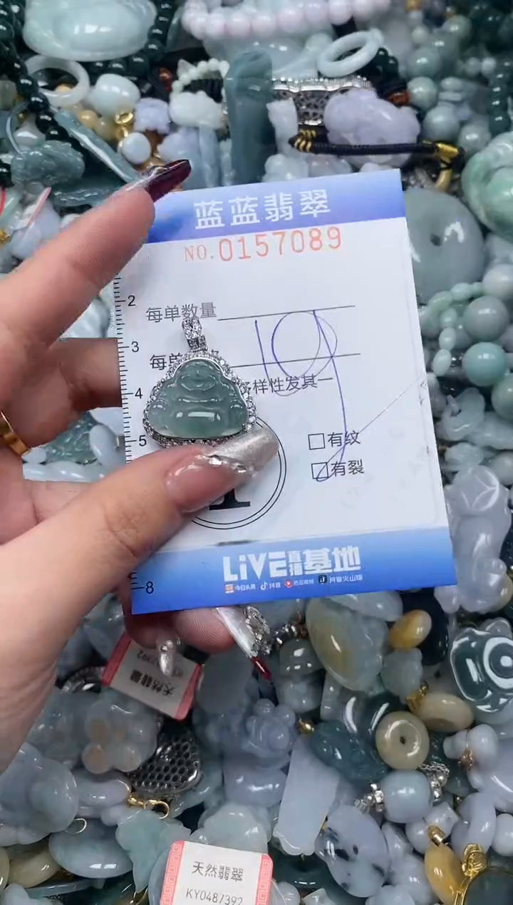 【闪购商品】翡翠颈饰未镶嵌闪购0157089