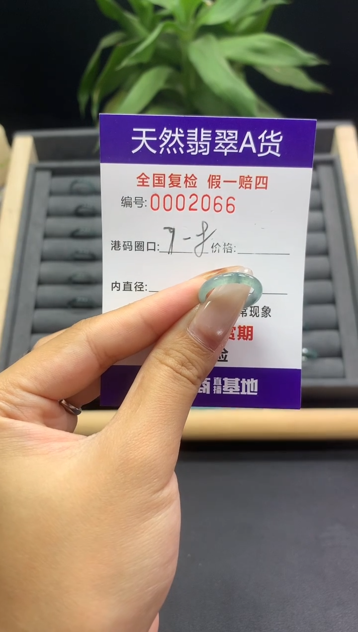 未镶嵌戒指翡翠天然  2066