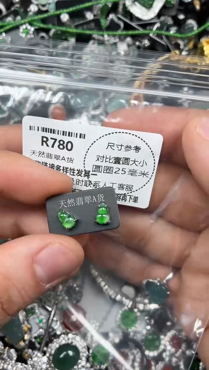 颈饰未镶嵌翡翠R780耳钉
