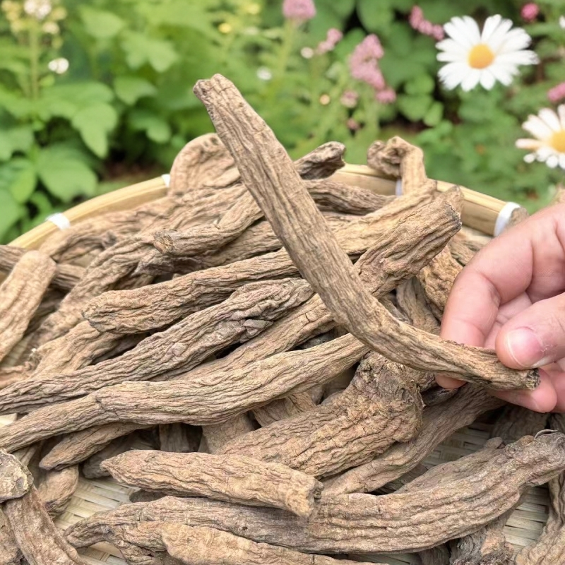 乌金参【泡酒/煲汤】深山自然生长天然养生好物