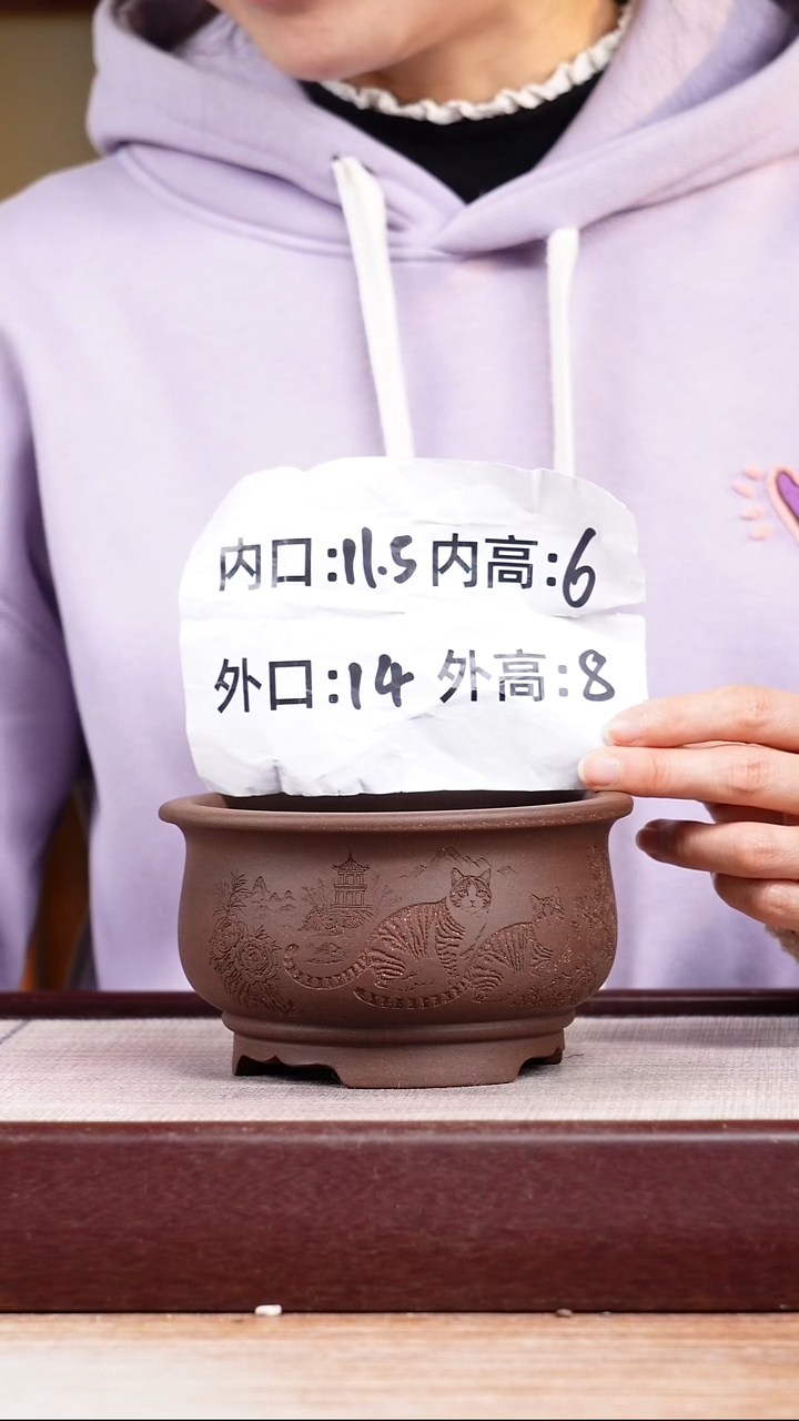 紫砂花盆紫泥刻绘猫咪迷你矮圆盆一只无托