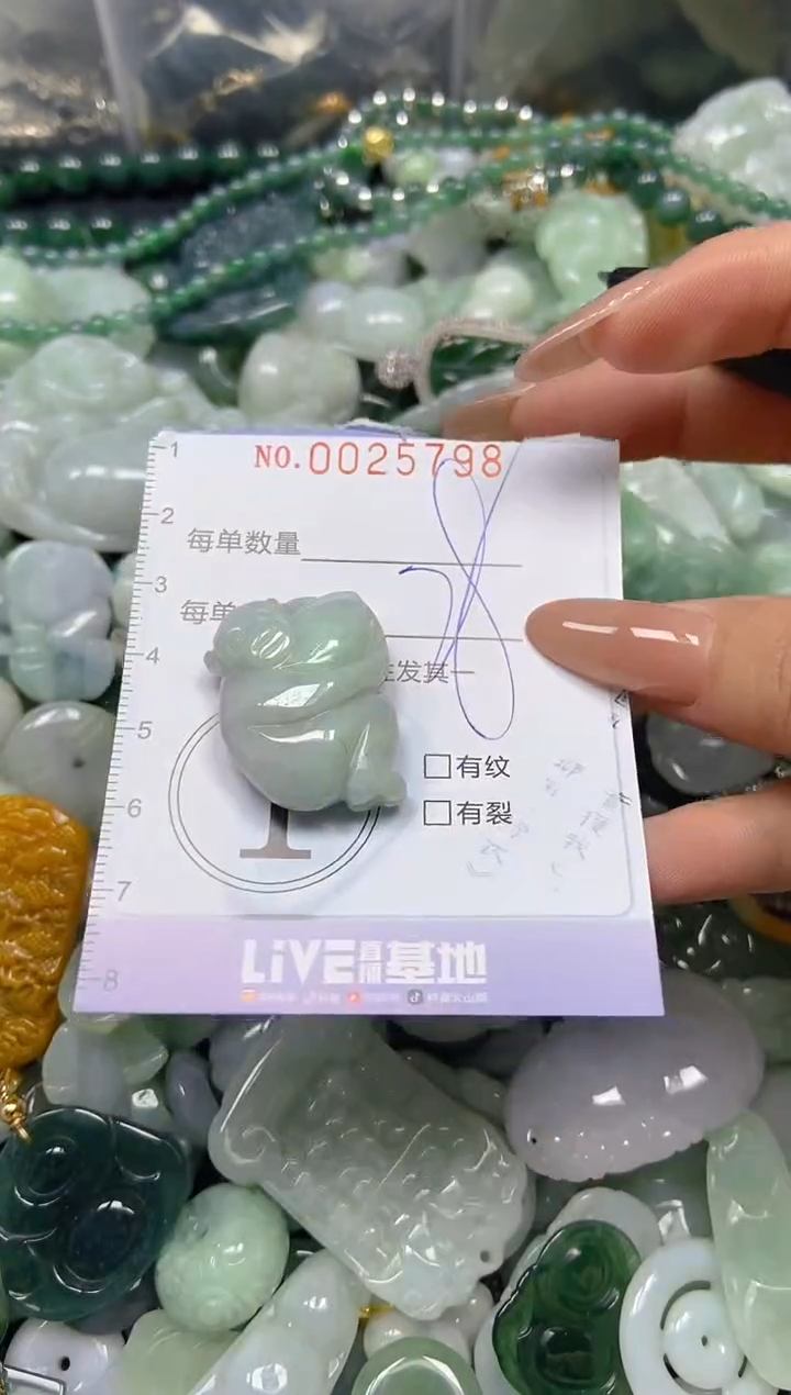 【闪购商品】翡翠颈饰未镶嵌闪购0025798