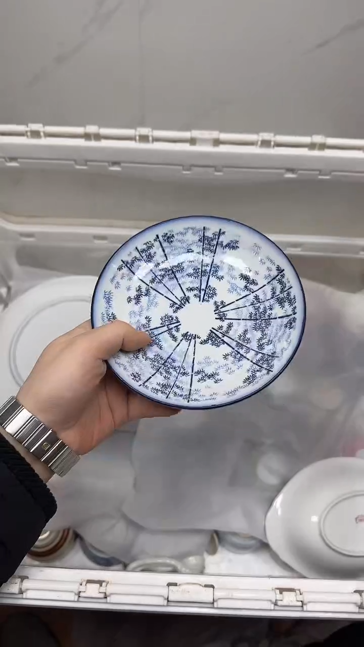 【闪购商品】801回流瓷器默认微瑕，18.8包邮