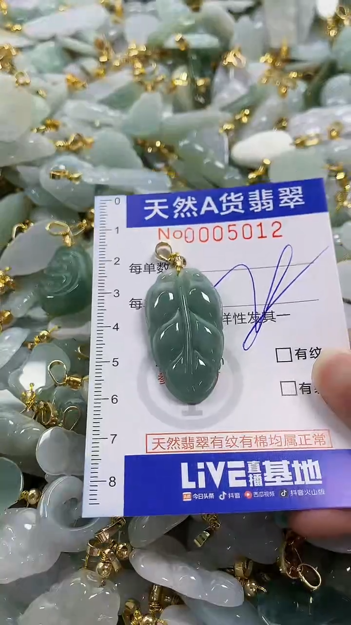 颈饰未镶嵌翡翠纯天然货翡翠