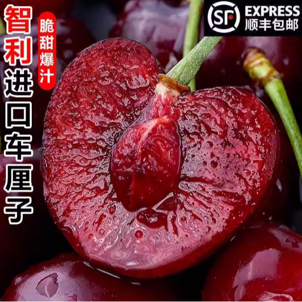 【顺丰次日达】4JD海运智利San Tina桑提娜车厘子2.5kg顺丰明天到家内附果径卡桑提娜樱桃智利共和国