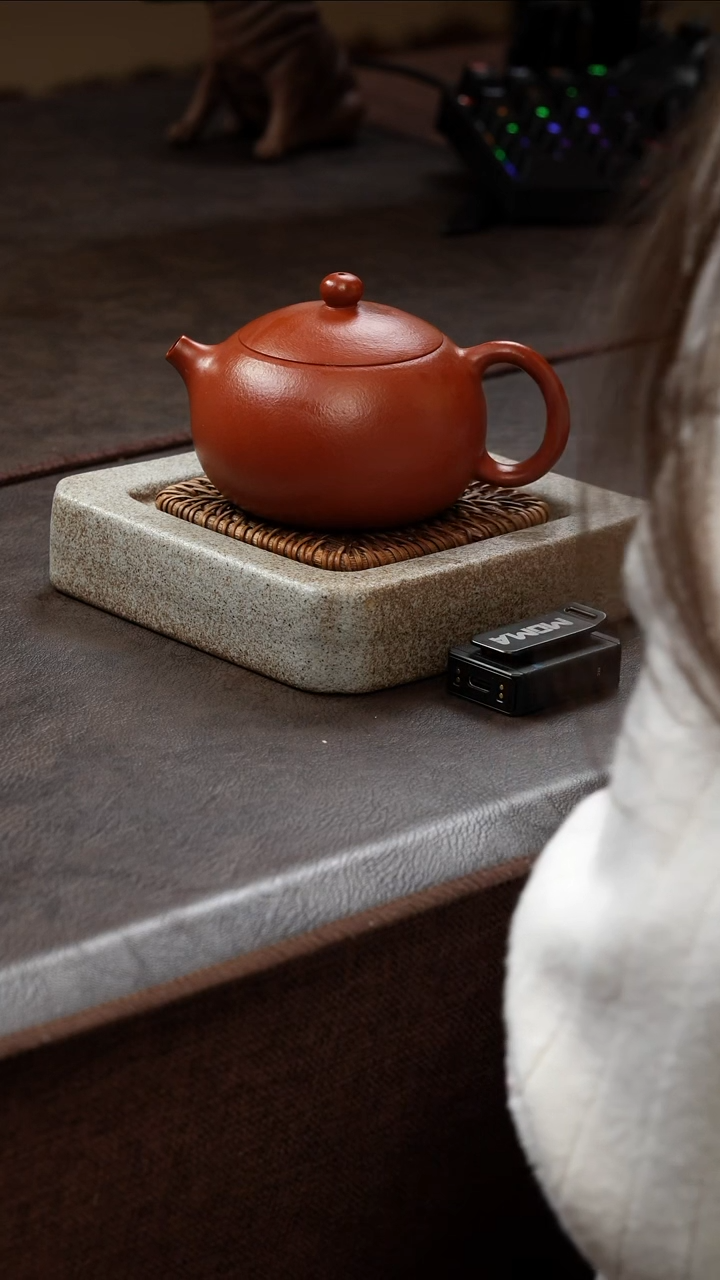 【闪购商品】紫砂茶壶1111111111111111