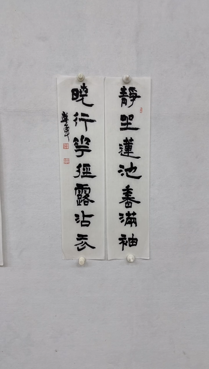 【闪购商品】国画天津人美-SJ-书法