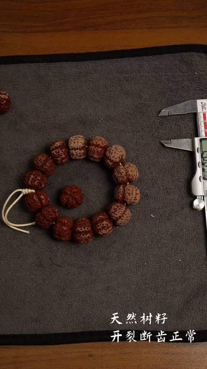 手串金刚菩提?***航白帝顶26.4000