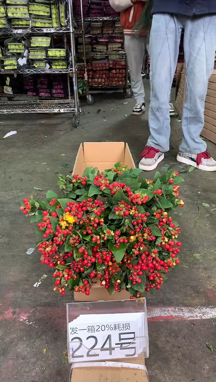 224/3号♥中通含20%耗损发一箱鲜花