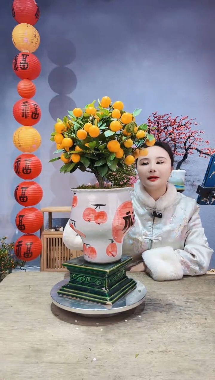 【闪购商品】盆景年桔