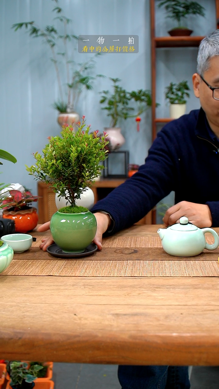 完全开放菠**?赤楠412