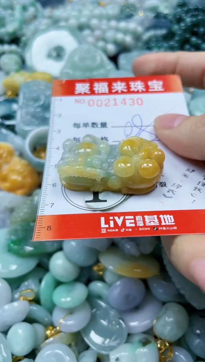 【闪购商品】翡翠颈饰未镶嵌闪购0021430