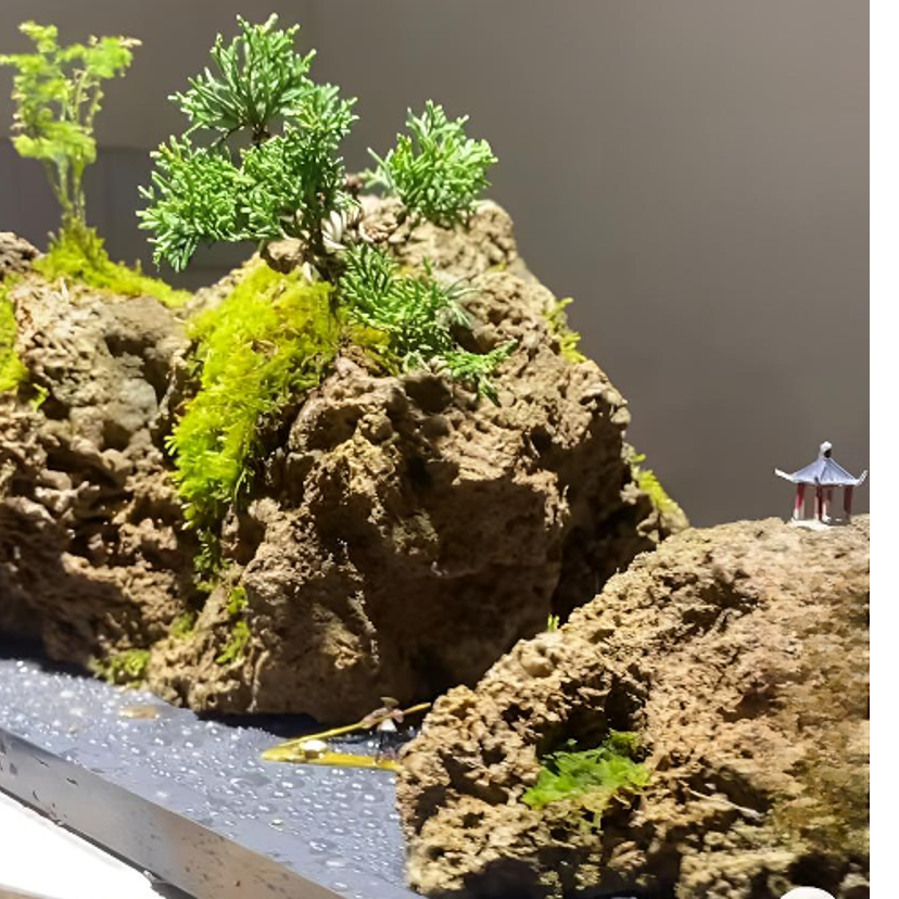 鲜活苔藓覆盖和柏树的吸水石生态大自然微景观树石盆景