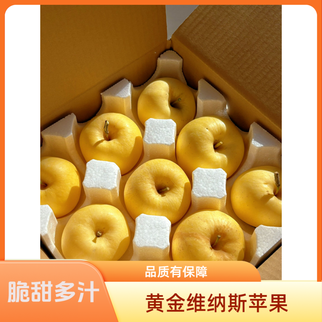 黄金维纳斯苹果脆甜多汁产地直发