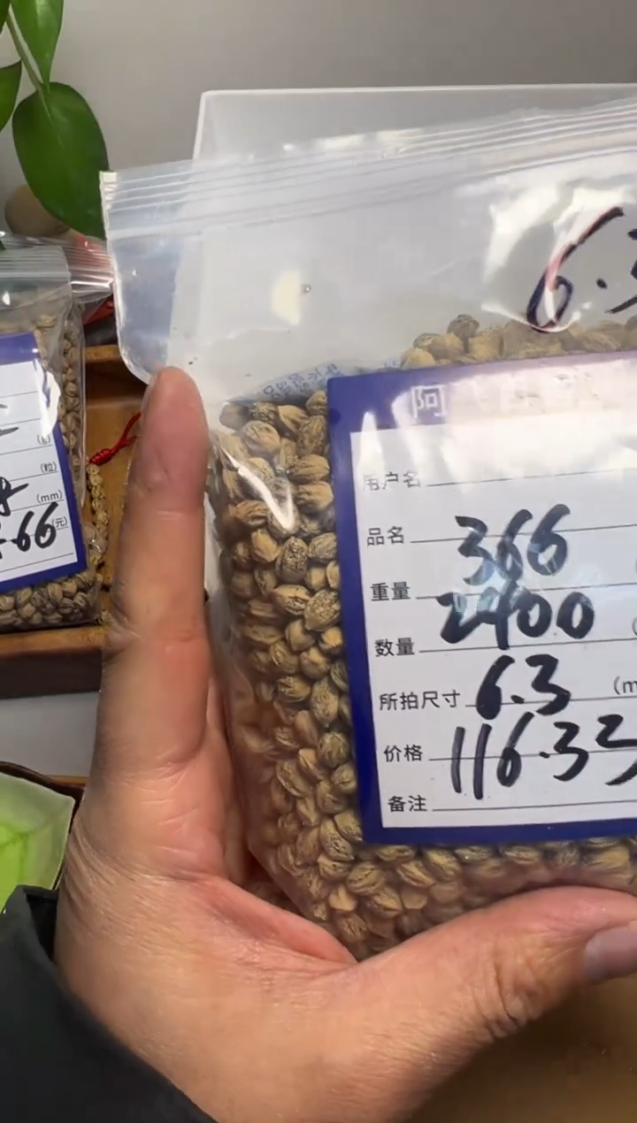 【闪购商品】柏香籽/百香籽吊坠116.33