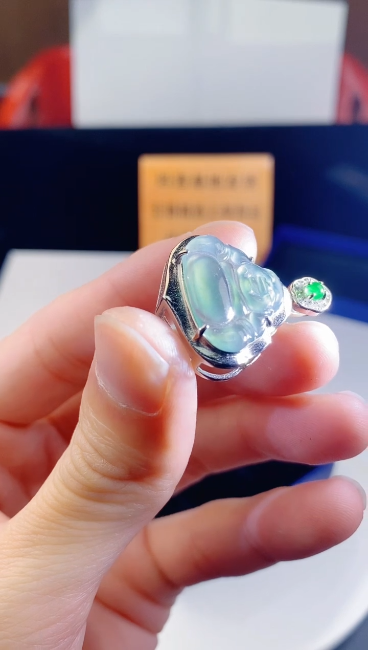 颈饰未镶嵌翡翠   