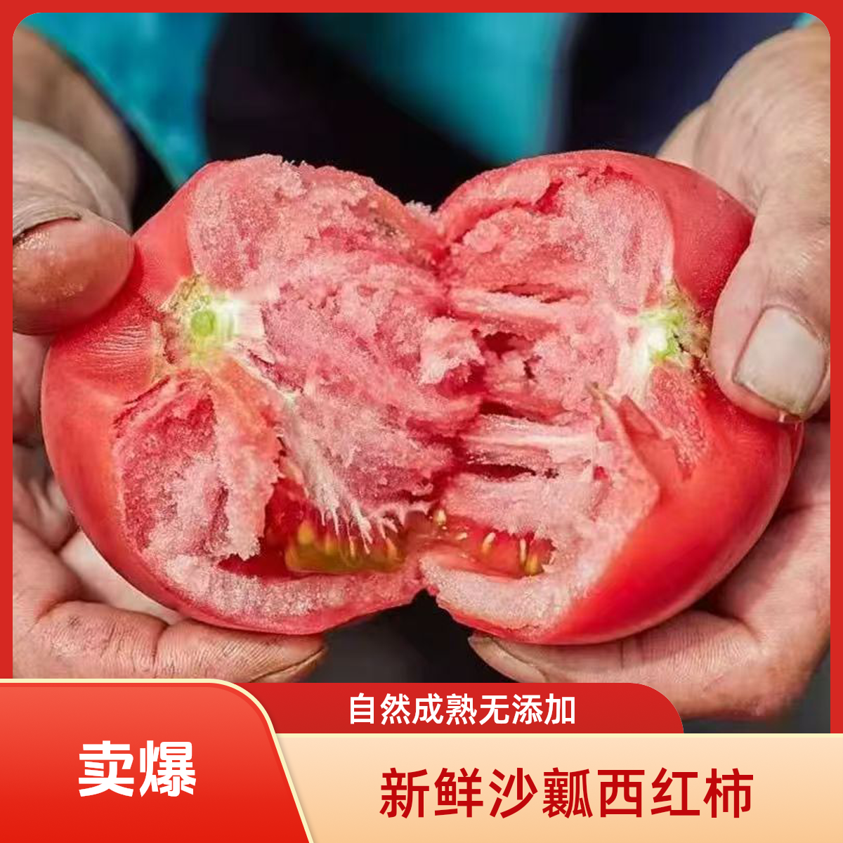 沙瓤西红柿农家番茄生吃现摘正宗自然水果新鲜蔬菜当季柿子成熟