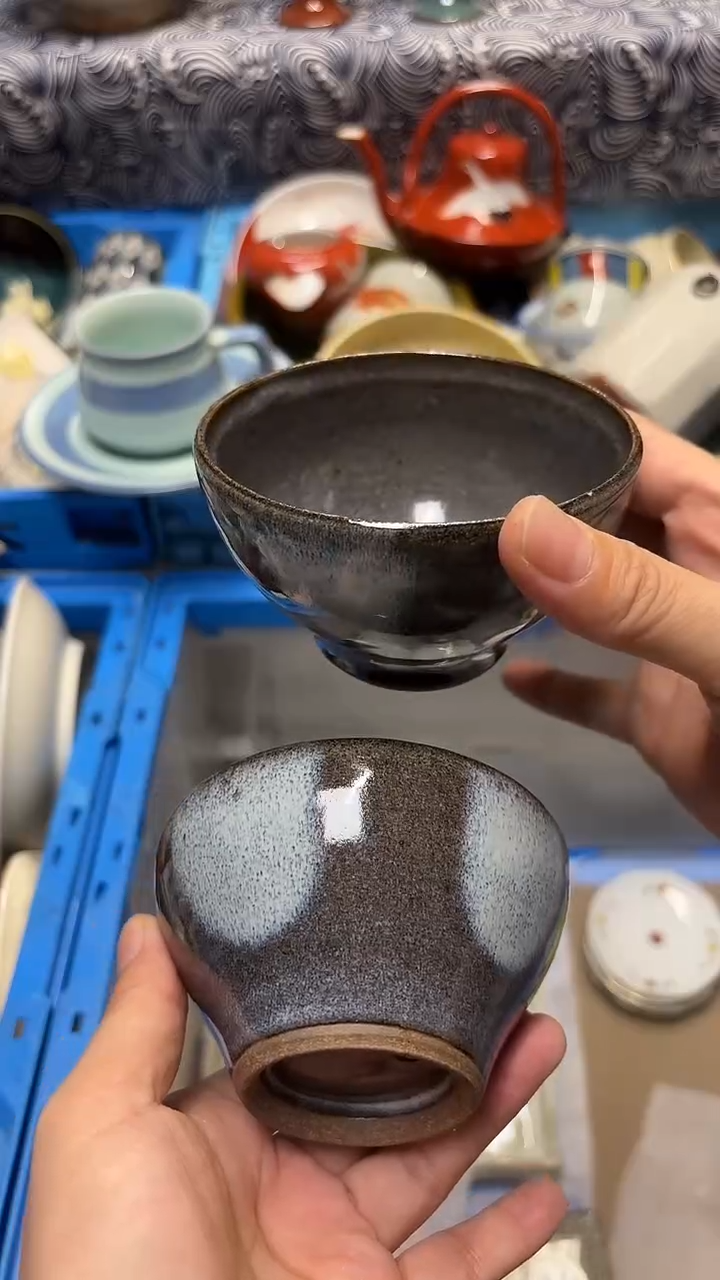 瓷片喵喵家都是大漂亮