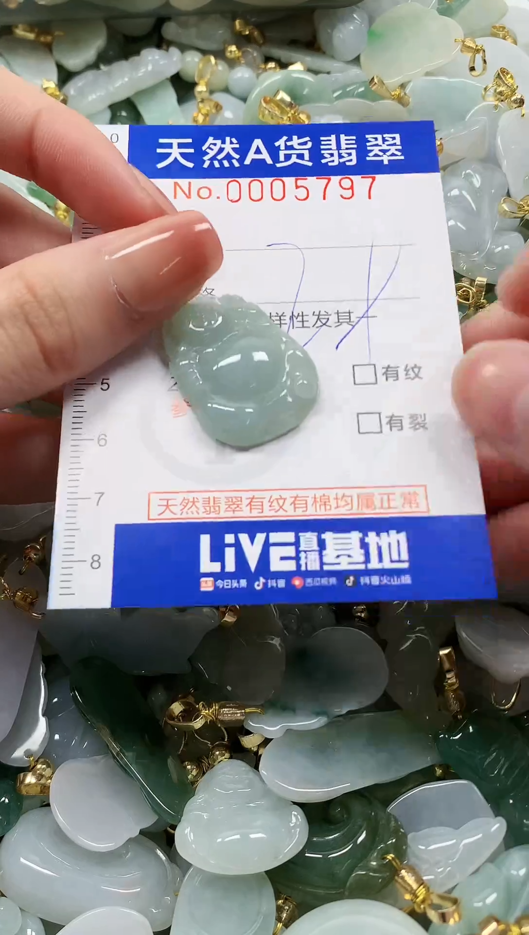 颈饰未镶嵌翡翠纯天然a货翡翠